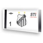 Goleiro do Santos