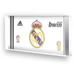 Goleiro do Real madrid