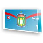 Goleiro do S�o Caetano