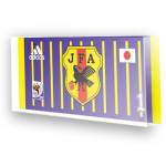 Goleiro Sele��o do Jap�o