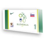Goleiro Sele��o da Eslovenia