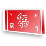 Goleiro Sele��o da Su��a