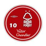 jogo do Nottingham Forest 