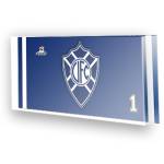 Goleiro do Vit�ria - ES