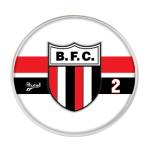Jogo do Botafogo - SP