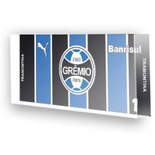 Goleiro do Gr�mio