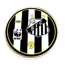 Jogo do Santos 2010