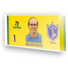 Goleiro Sele��o Brasil - Waldir Peres
