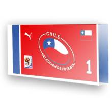Goleiro Sele��o do Chile