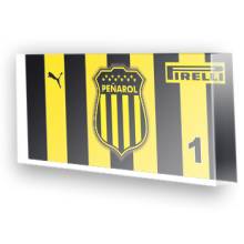 Goleiro do Penarol