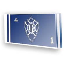 Goleiro do Vit�ria - ES
