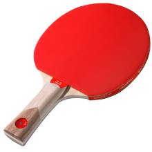 Raquete Speedo Tennis de Mesa Storm