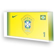 Goleiro da sele��o do Brasil