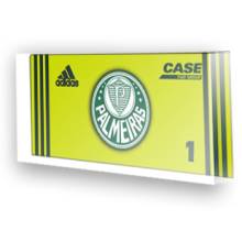 Goleiro do Palmeiras