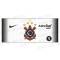 Goleiro do Corinthians