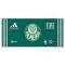 Goleiro do Palmeiras