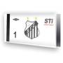 Goleiro do Santos