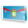 Goleiro do S�o Caetano