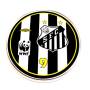 Jogo do Santos 2010