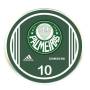 jogo do Palmeiras - 2010 